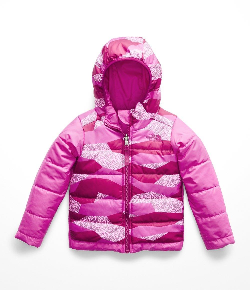 toddler pink north face jacket