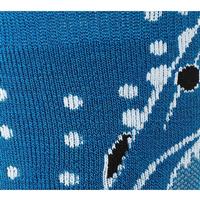 Smartwool Wintersport Shark Socks - Youth - Arctic Blue