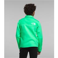 The North Face Denali Jacket - Teen - Chlorophyll Green