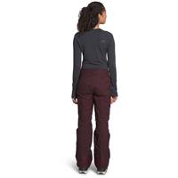 the north face women's freedom insulated winter pants