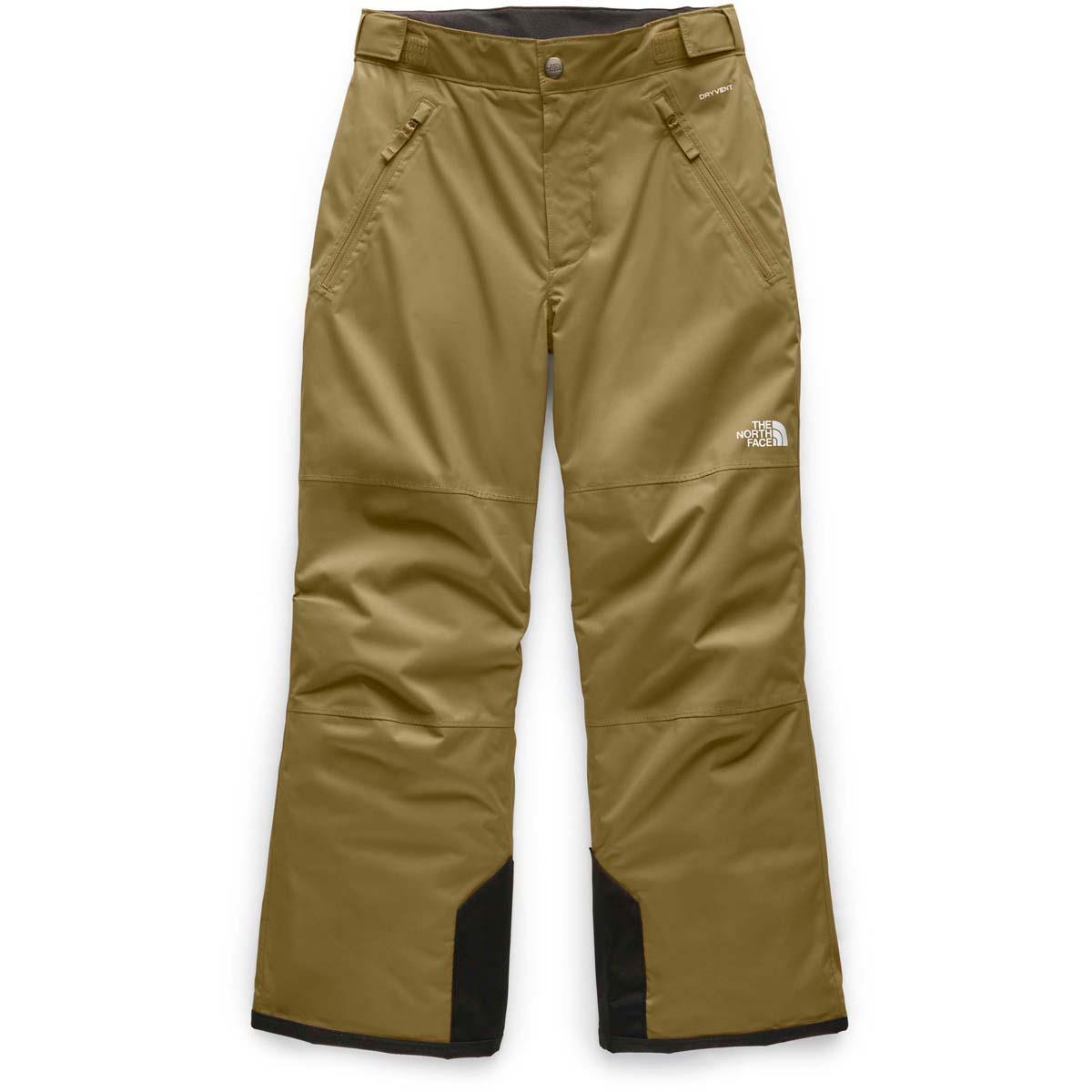 the north face men's freedom insulated pant