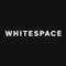 Whitespace Snowboards CLEARANCE